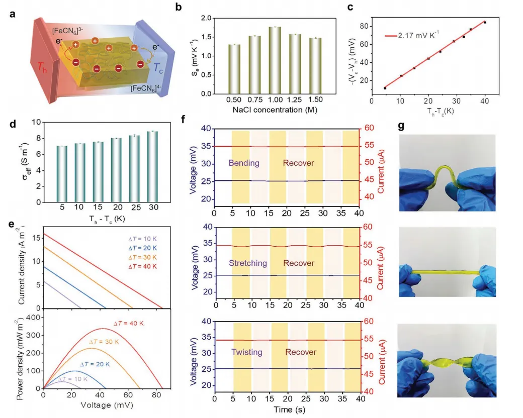 Hydrogel thermocell assembly and performance