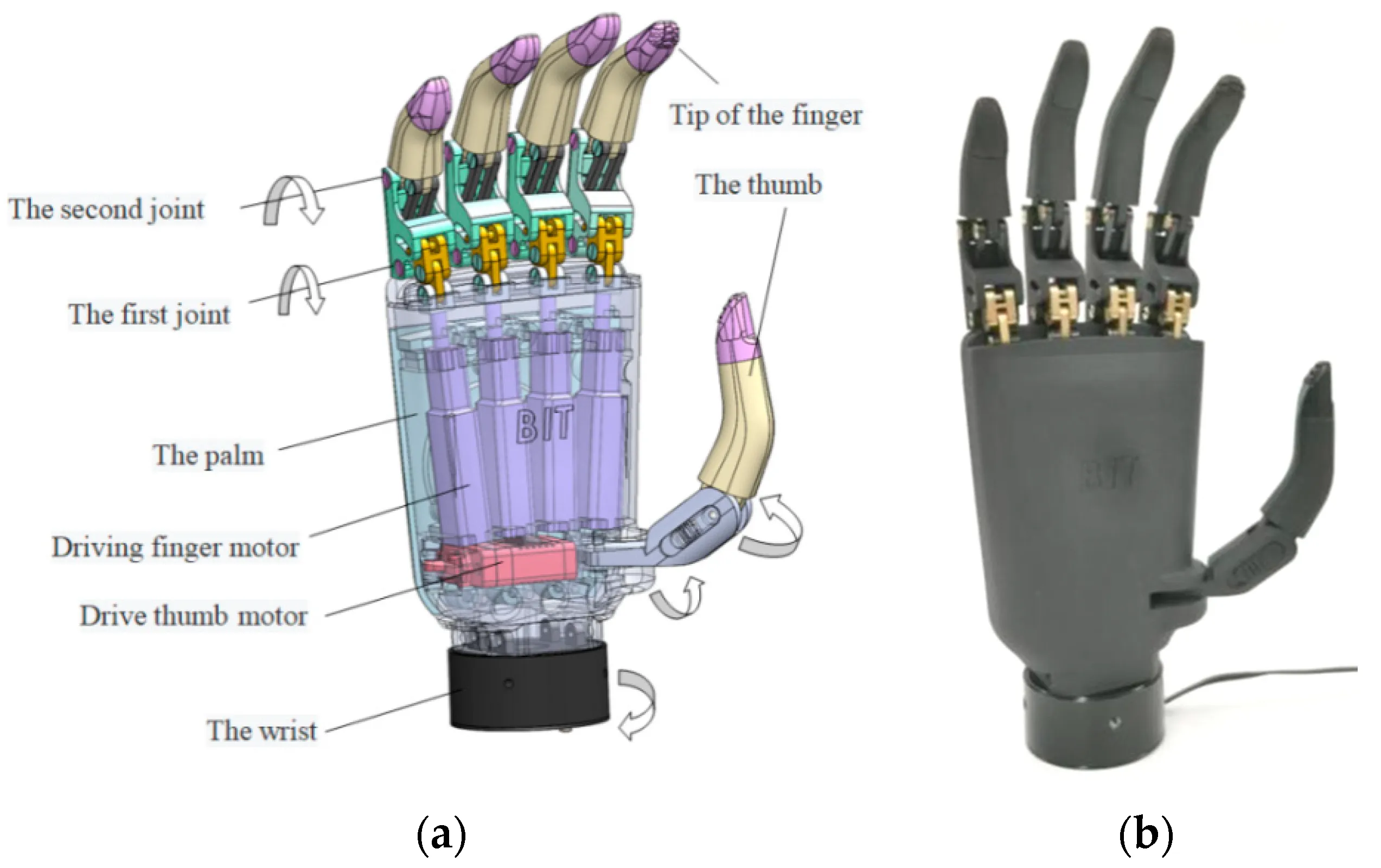 Prosthetic limb showcasing electronic components for power management