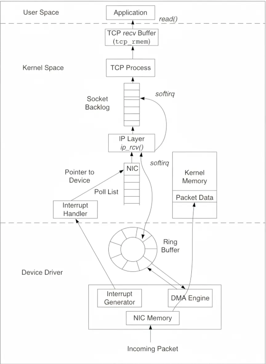 Packet receive path: NIC, kernel, user space