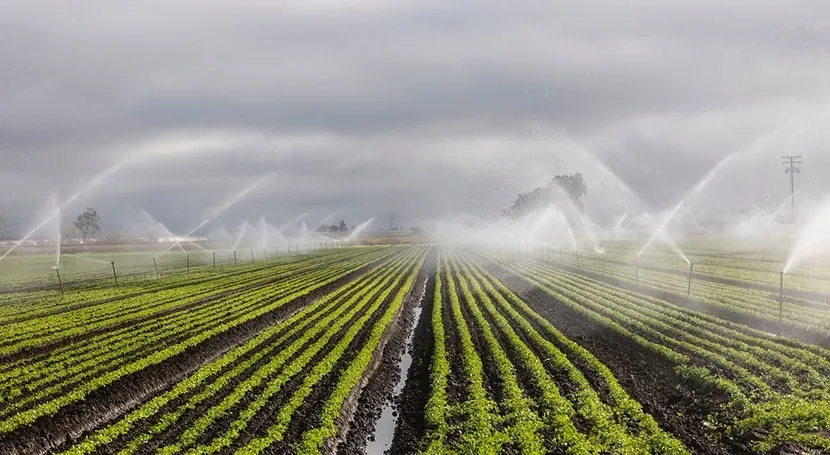 Smart irrigation system with automated irrigation PCB in agricultural field