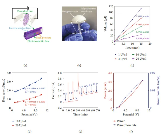 Electroosmotic micropump insulin release performance evaluation