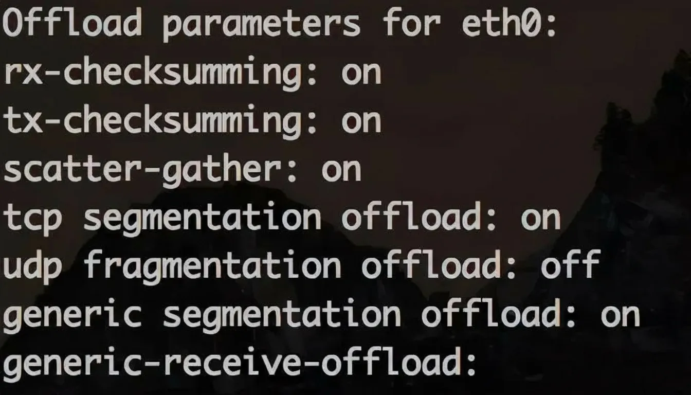 ethtool -k output showing checksum and segmentation offloads enabled