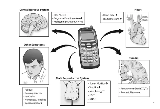 the radiation sources in our immediate vicinity
