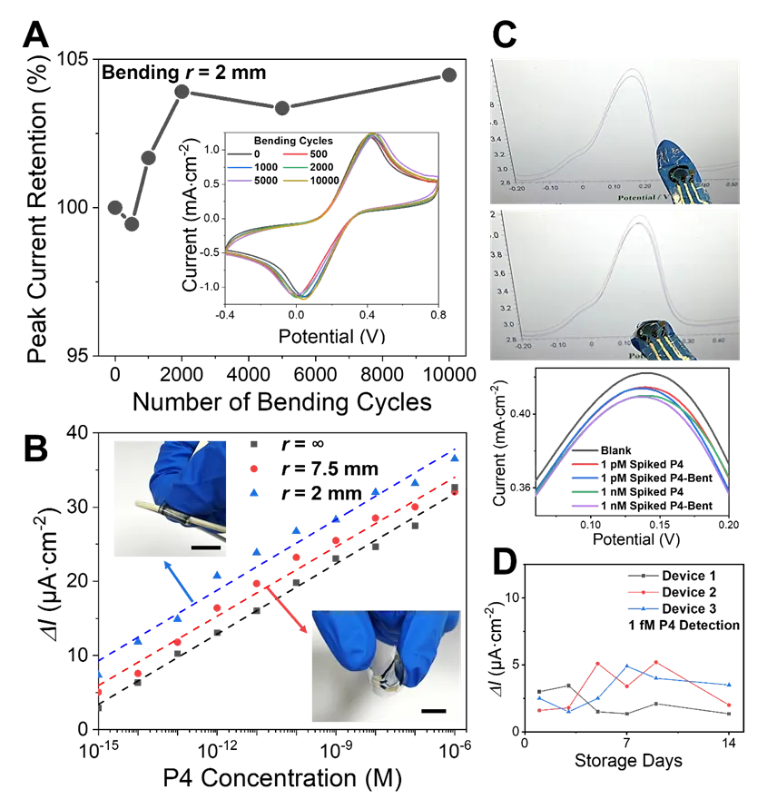 Mechanical bending and storage stability of flexible immunosensing electrodes