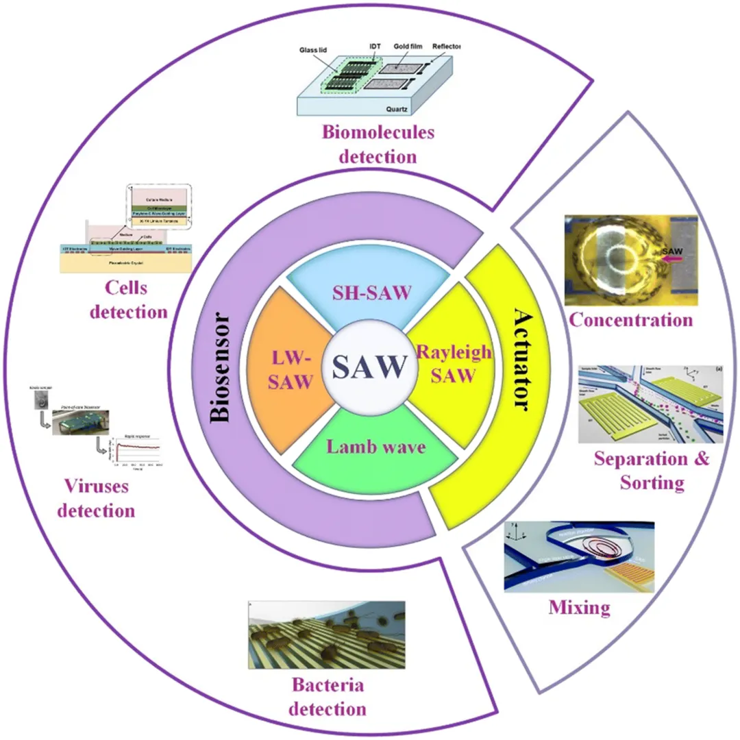 SAW microfluidic applications diagram