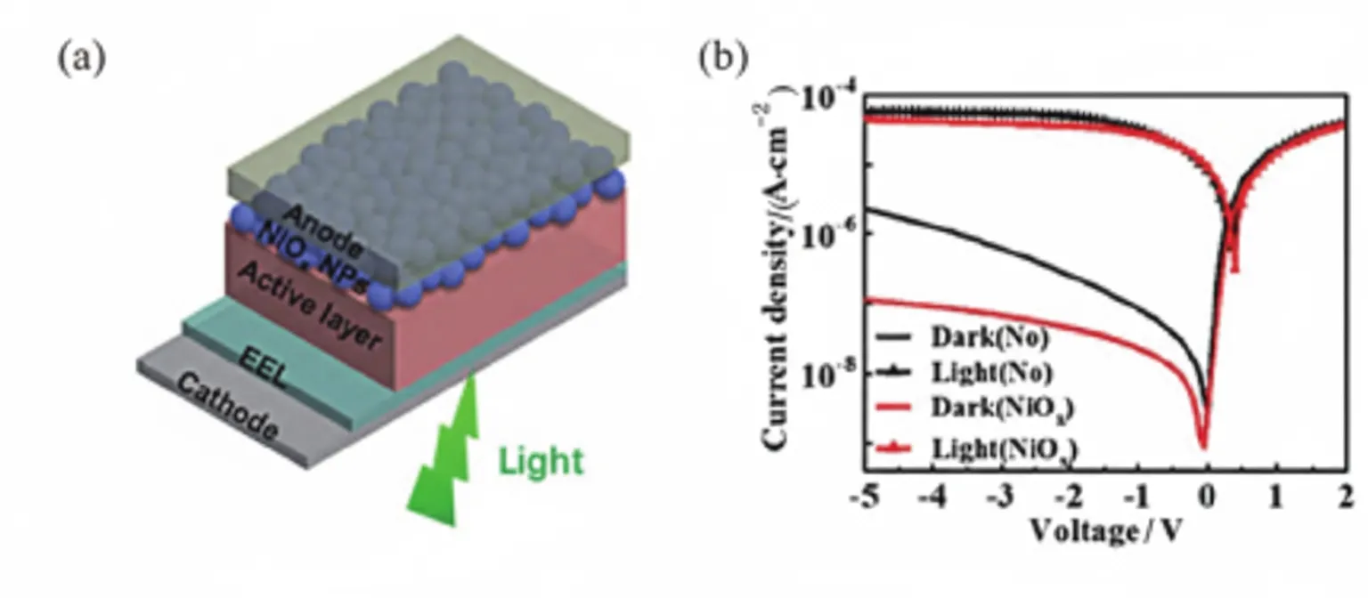 NiOx-based organic photodiode (OPD)