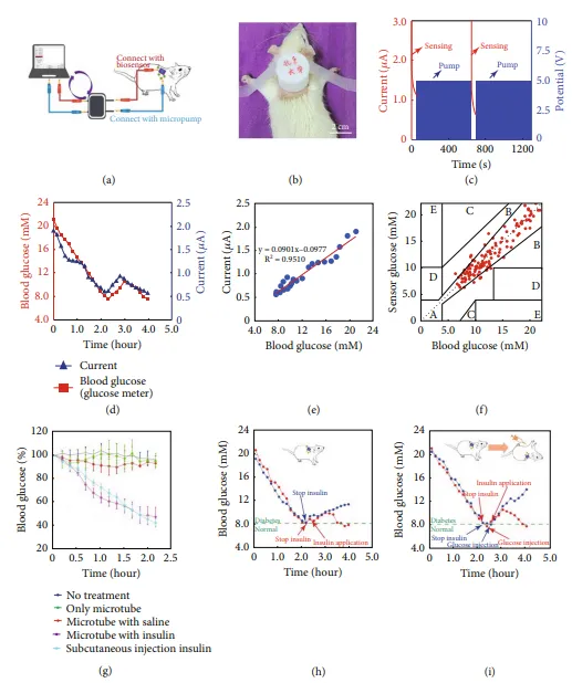 In vivo performance evaluation of the closed-loop system