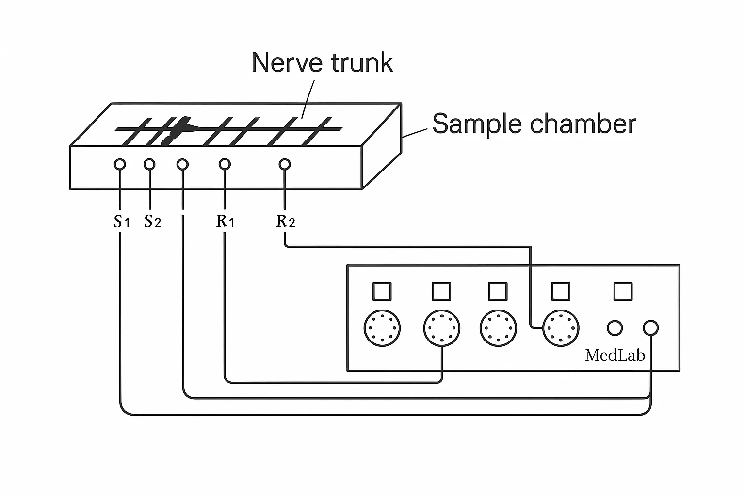 Recording Compound Action Potentials from Nerve Trunks