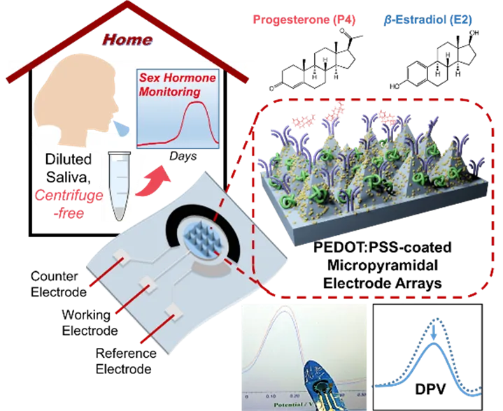Flexible PEDOT:PSS micropyramid electrode schematic for salivary progesterone and estradiol monitoring